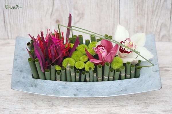 Modern arrangement with orchids and protea, bamboo