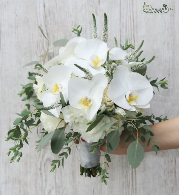 menyasszonyi csokor (phalaenopsis, orchidea, veronika, fehér)