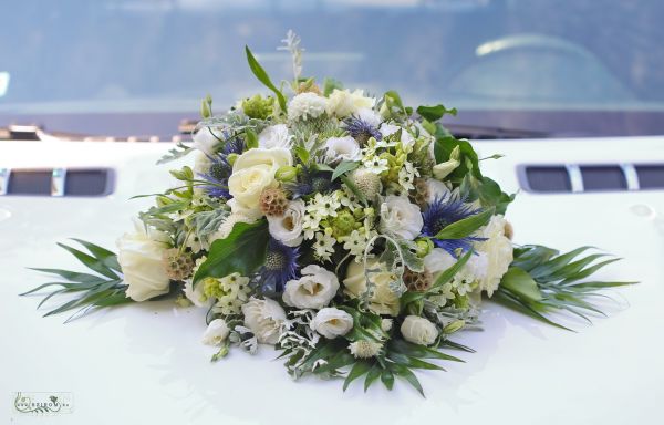 car flower arrangement with stonecrop (rose, lisianthus, eryngium, ornithogalum, sempervivum, white, blue)
