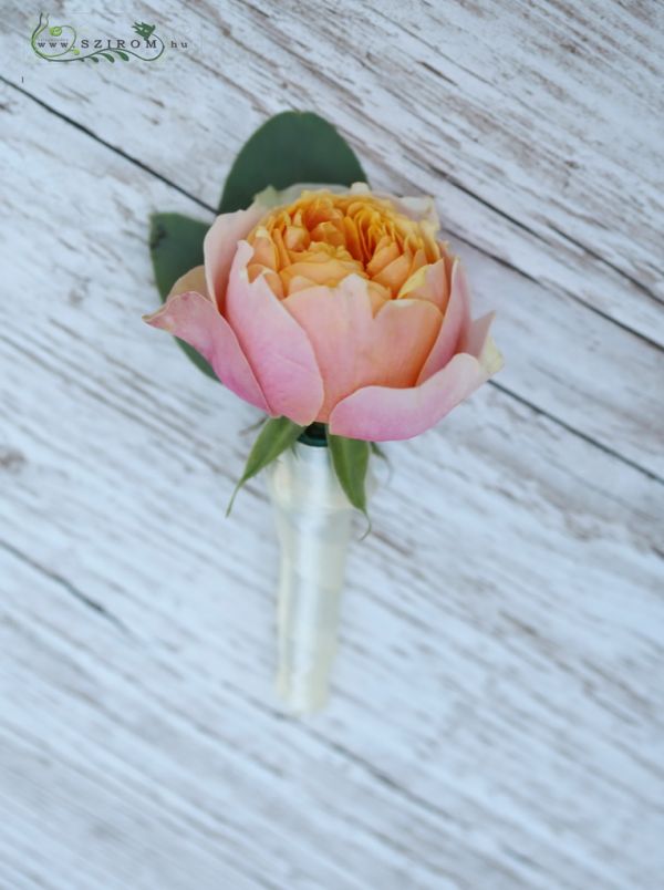 boutonniere made of peach English rose