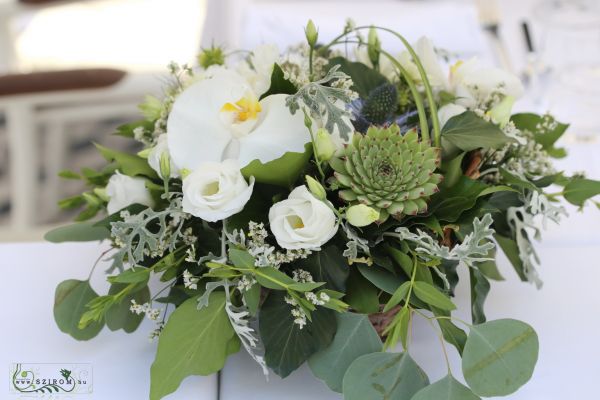 Wedding table decoration in basket, Emile Étterem Budapest (lisianthus, phalaenopsis orchid, stonecrop, eucalyptus white, green