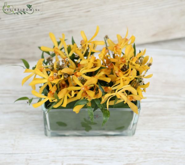 Table decoration in glass cubes (mokara orchid, orange)