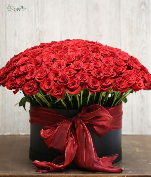 rose box with 200 threads