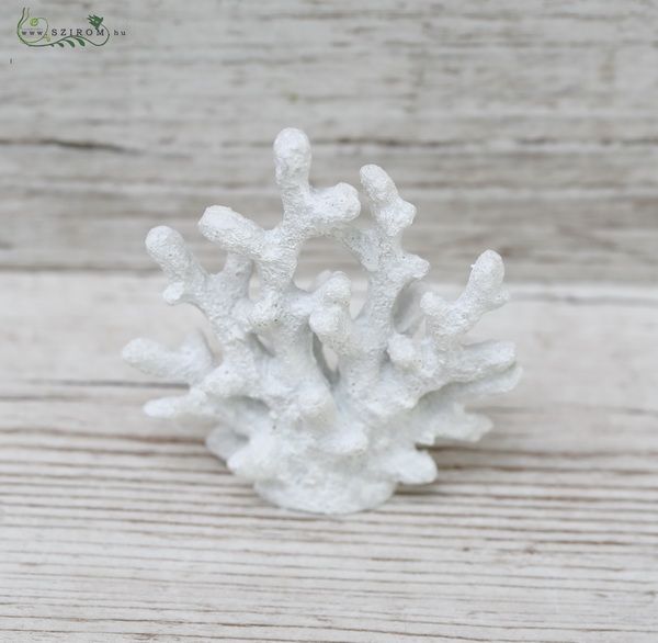  Korallendekor (10cm)