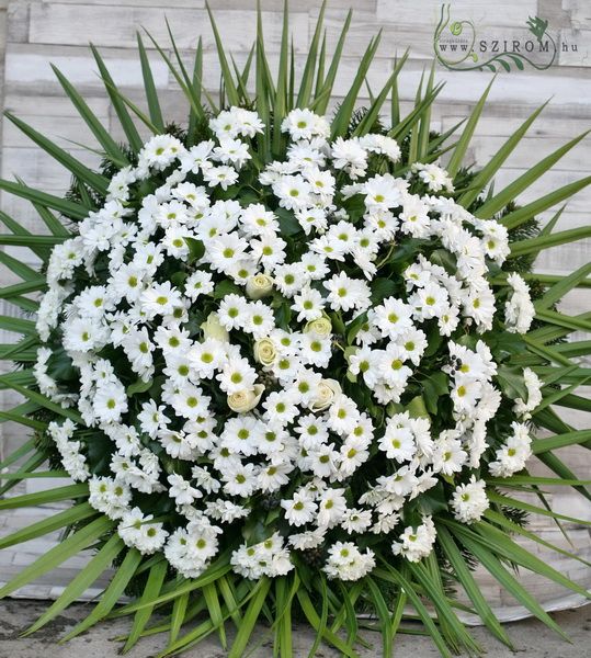 big standing wreath made of white chrysanthemums and 5 roses (1m, 35st)