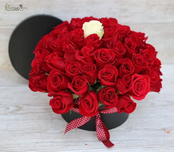 49 stem red roses and 1 white rose in a black box (50st)