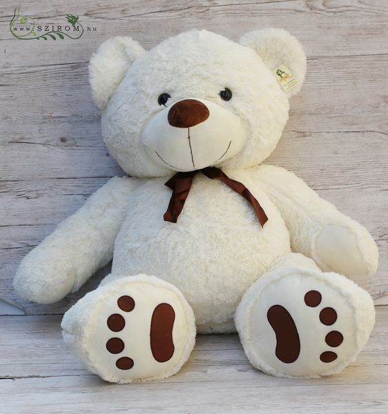 Giant teddy 80 cm sitting