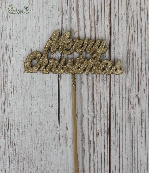 Merry christmas sign