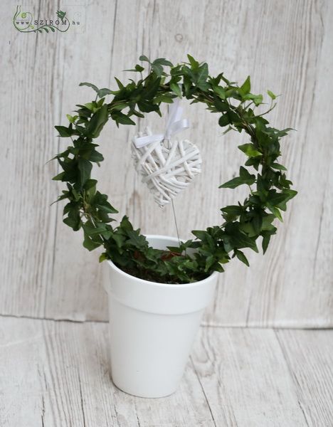Running ivy in pot with heart