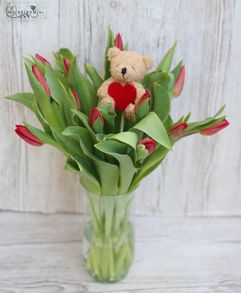 15 red tulips in vase with teddy with heart