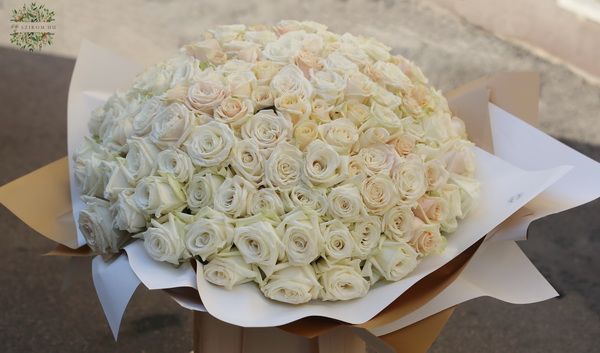 150 white roses in bouquet