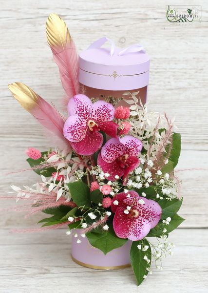 cylinder box with vanda orchids