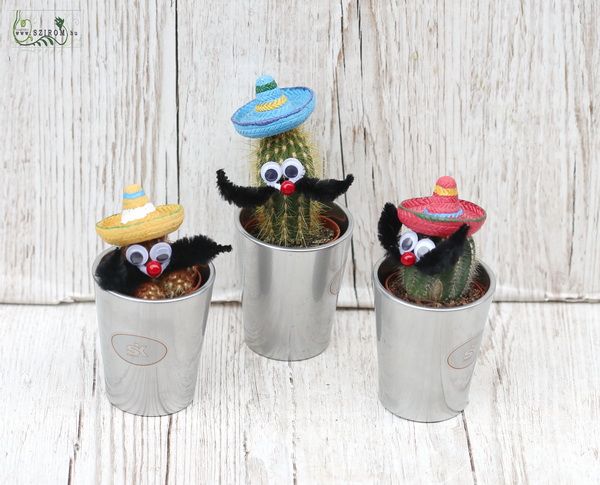 Kaktus mit Sombrero 1 Stück