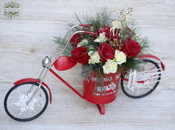 Big christmas red rose bicycle