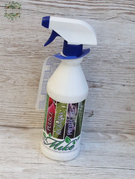 Polier-Erfrischungsspray für trockene und lebende Blumen