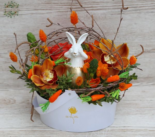 Hase im Blumenbox mit Orange Blumen, Orchideen