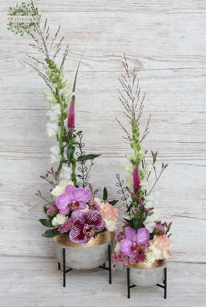 Kleine Betontöpfe mit modernem luftigem Blumendekor