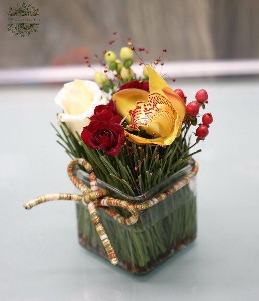 Blumen zwischen Pinenadeln im Glasskubus