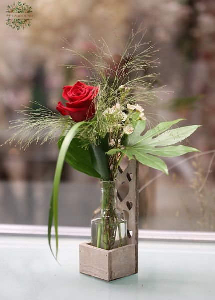 Rose in vielen Herzen Basis