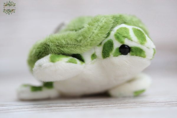  turtle keychain