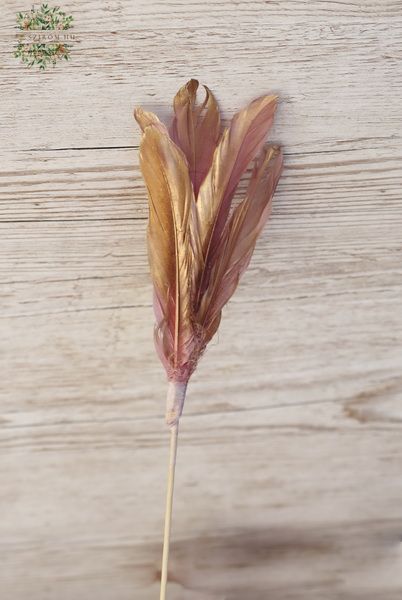 gilded pink feathers