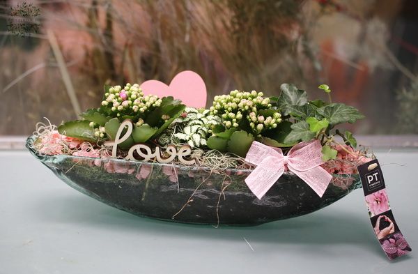 Plant arrangement in glass boat