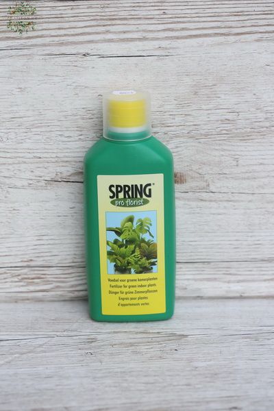 SPRING tápoldat levélnövényekhez (500ml)