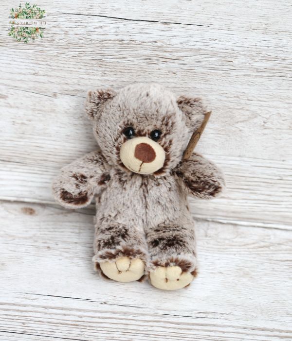 Plüsch Teddy 20cm