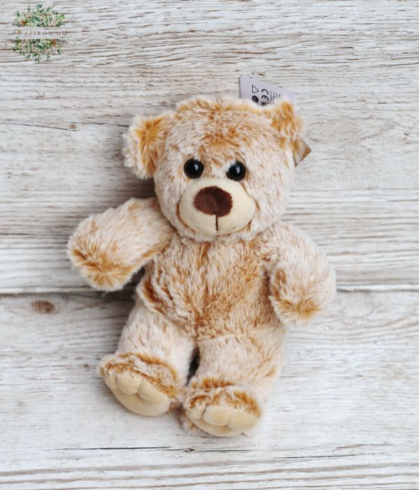 Plüsch Teddy 20cm