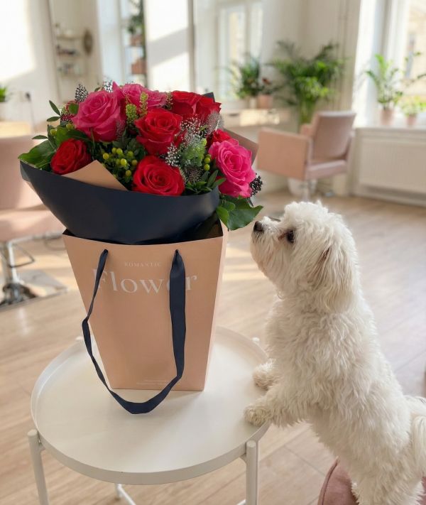 Trendi táskás csokor pink és vörös rózsákkal, bogyókkal, tollal (12 rózsa) - original product photo with AI background