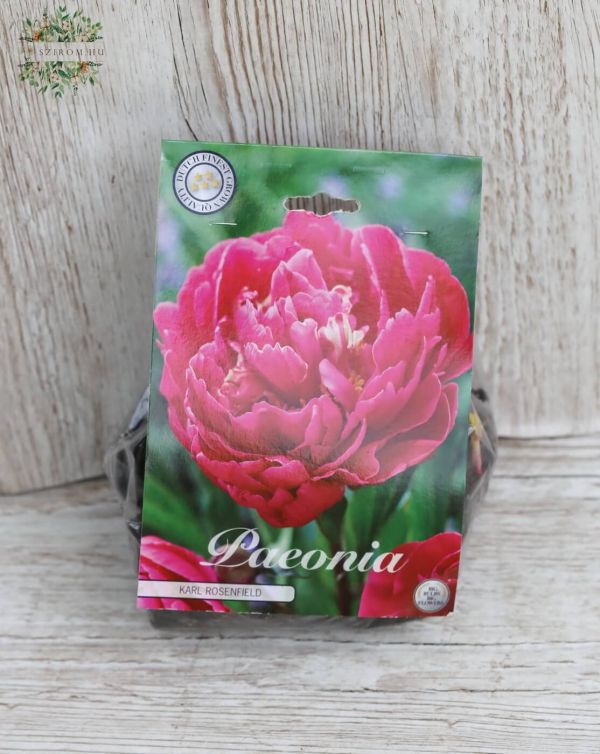  Paeonia Karl Rosenfield