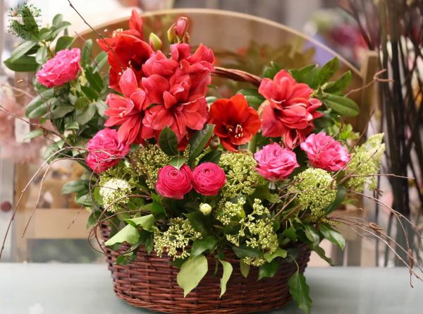 Flower basket with amaryllis