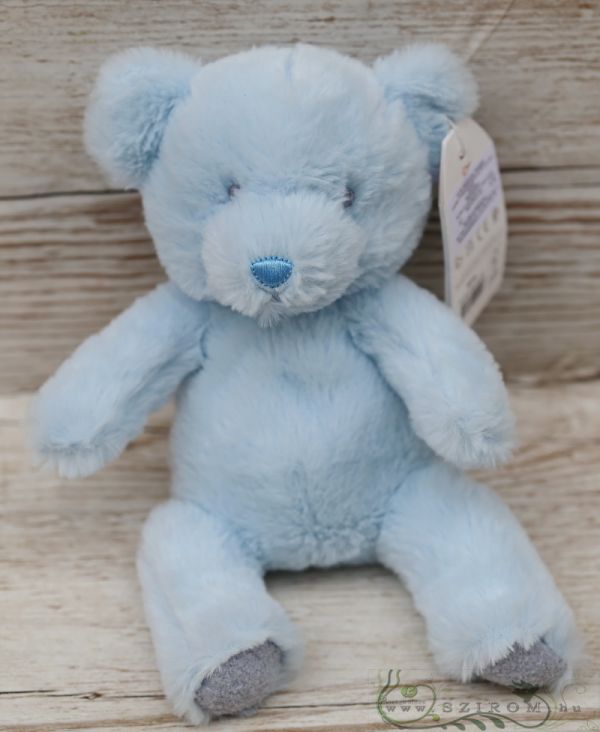 blue teddybear (22cm)