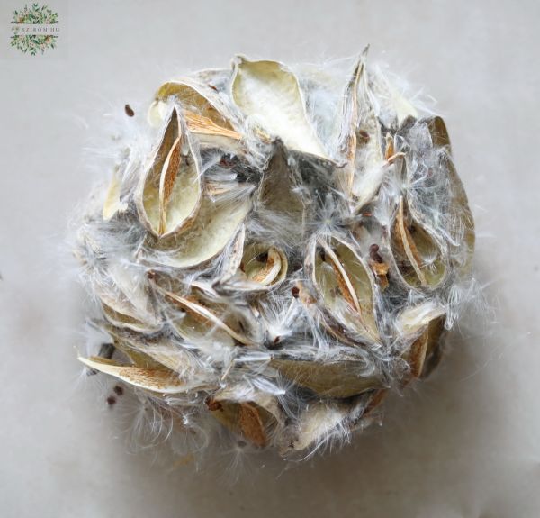 Trockenblumenkranz (20cm)