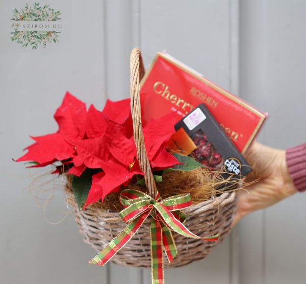 Gift basket with poinsettia and chocolates