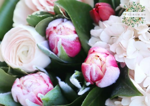 Kora tavaszi tulipános hortenziás csokor (12 szál)