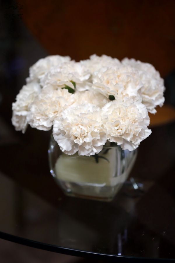 Carnation cube (14 stems)