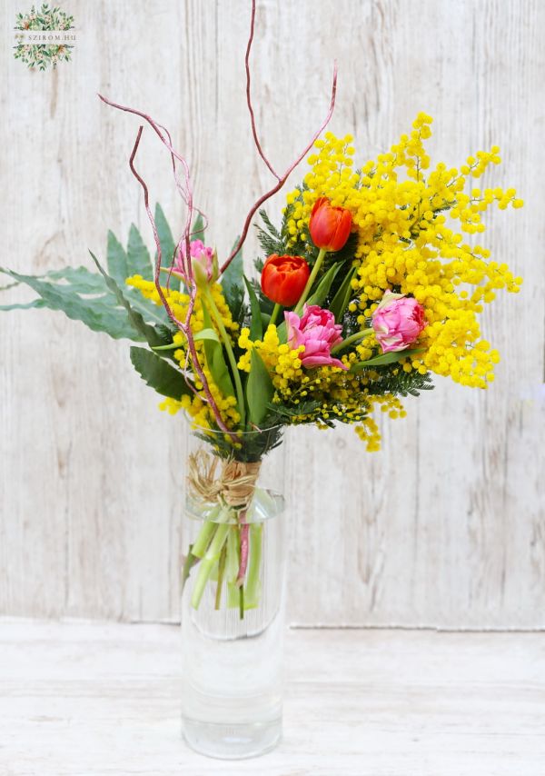 Mimosas with tulips in vase
