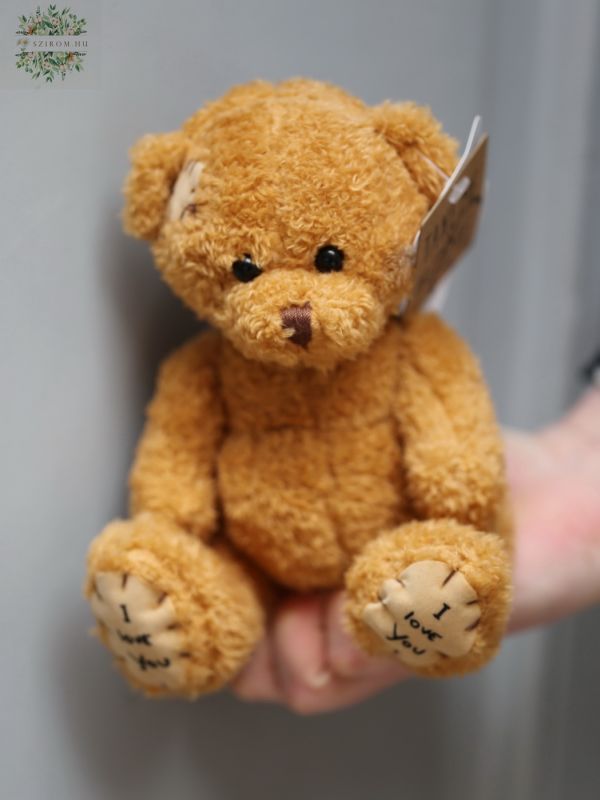 Plush teddy I love You (16cm)