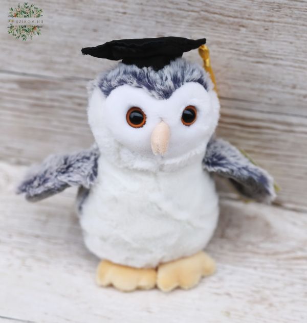 Plüsch Eule (15cm)