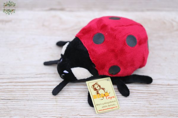 Plüsch Marienkäfer (17cm)