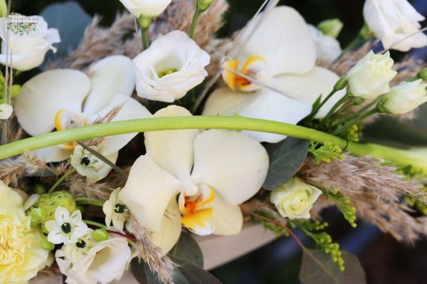 Anyák-napi virághajó orchideákkal (13 szál)