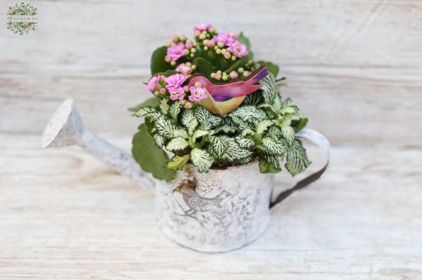 Plant arrangement in can, with bird