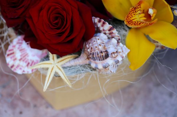 Summer red rose heart box with seashells and orchid
