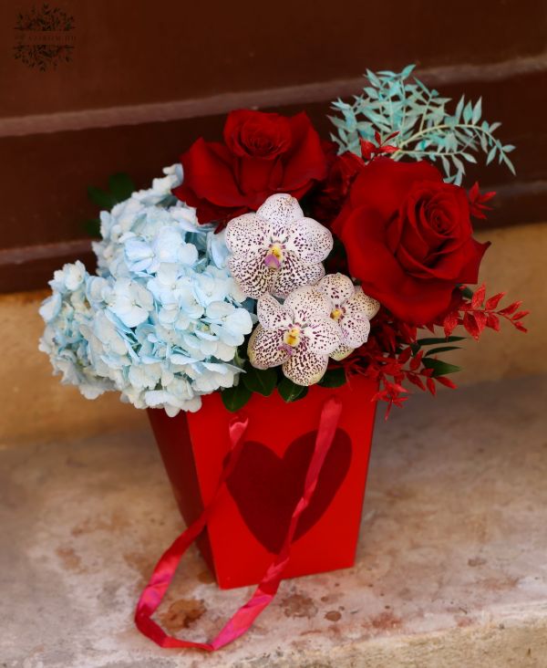 Red rose box with blue hydrangeas, orchids