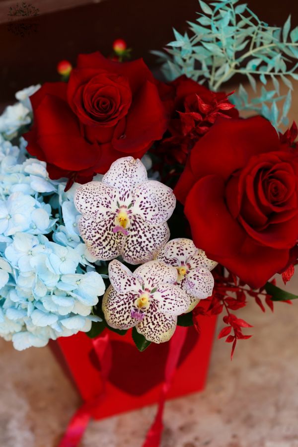 Red rose box with blue hydrangeas, orchids