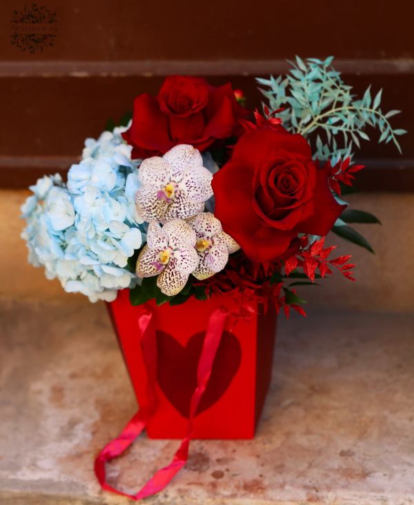 Red rose box with blue hydrangeas, orchids