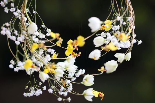 Moderner Drahtreifenstrauß mit luftigen Blüten (weiß, gelb, Schleierkraut, Orchidee, Ornithogalum)