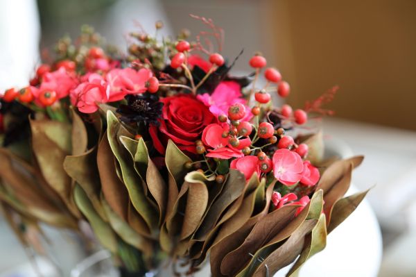 Modern fan-shaped bridal bouquet in intense autumn colors (scabiosa, rose, single-petal carnation, berries, magnolia)