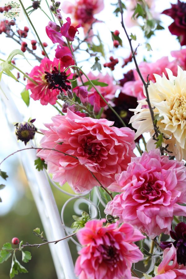 Asymmetrical wedding gate arch with dahlias, zinnias, seasonal berries (pink, burgundy, red)